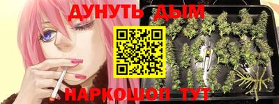 наркотики Заводоуковск