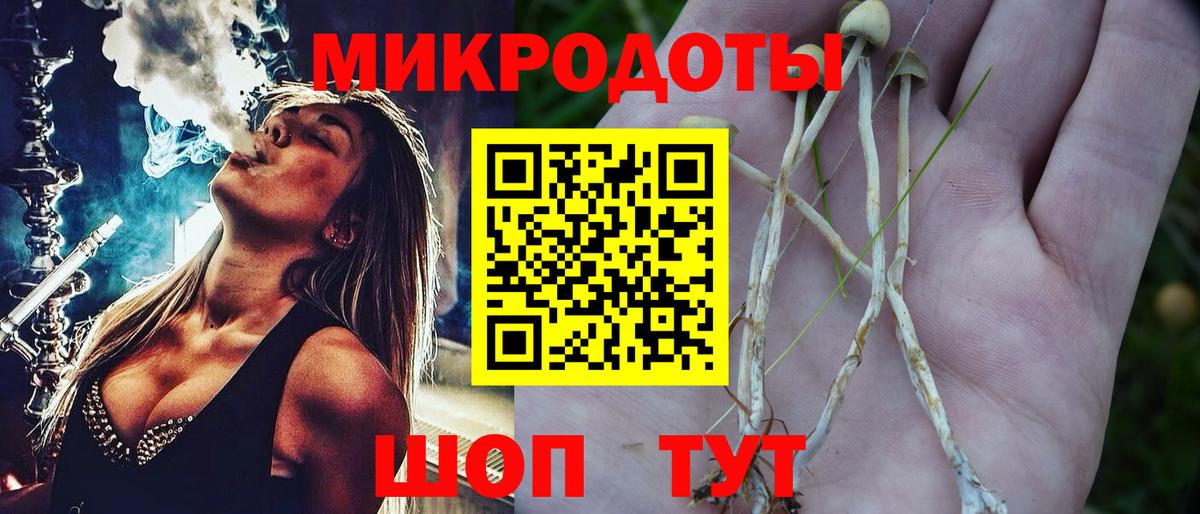 Добрянка  Псилоцибиновые грибы Cubensis  Вход с VPN 