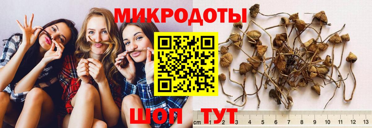 Галлюциногенные грибы Cubensis Добрянка