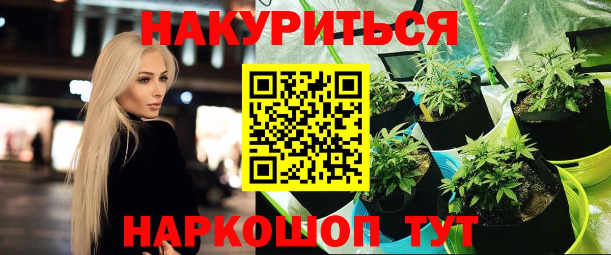 Шишки марихуана тримм  Вход с VPN  Марихуана OG Kush  Марихуана марихуана  Добрянка 